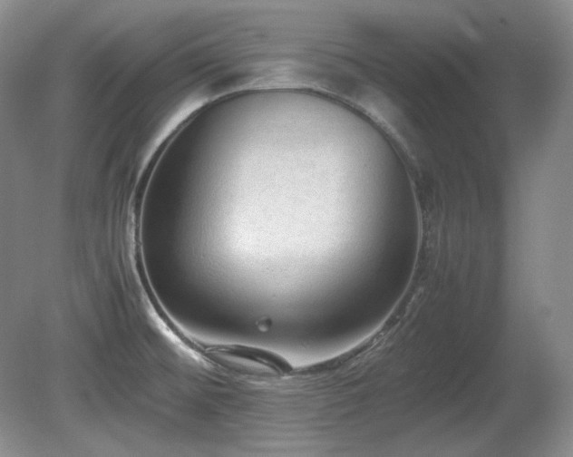 X0000081611476200701151352