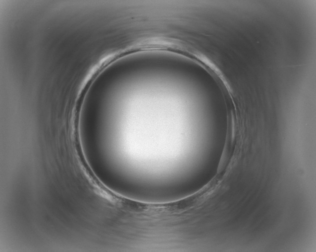 X0000081611477200701151352