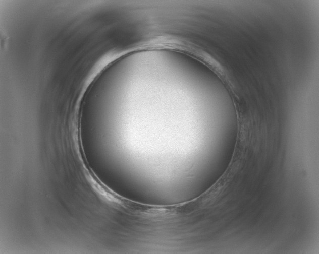 X0000081611478200701151352