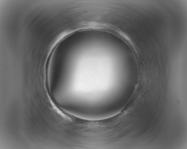 X0000081611479200701151352