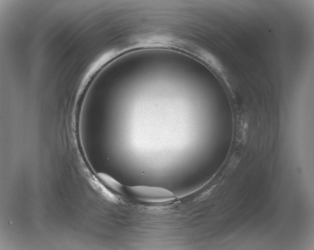 X0000081611480200701151352