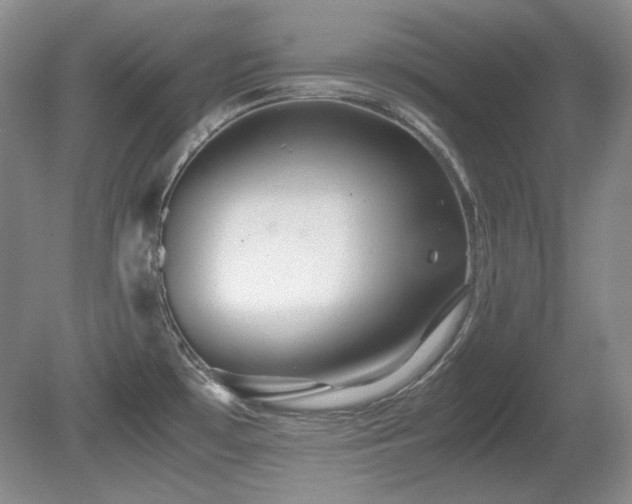 X0000081611481200701151352