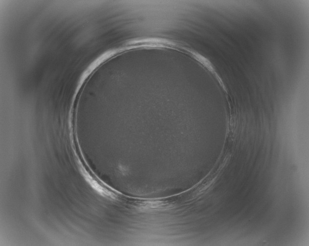 X0000081611482200701151352