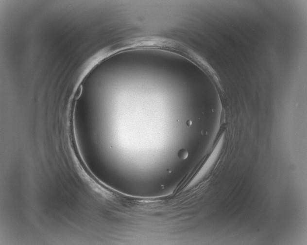 X0000081611483200701151352