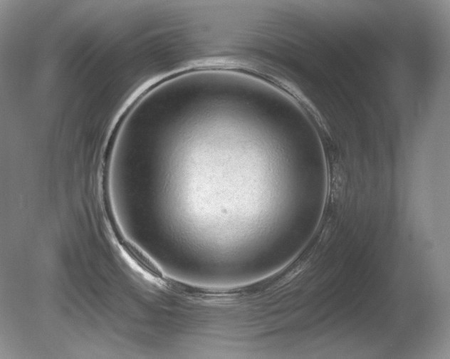 X0000081611484200701151352