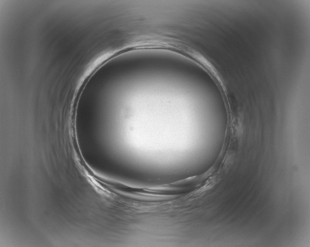 X0000081611485200701151352