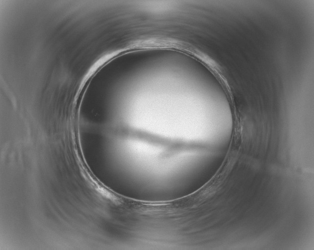 X0000081611486200701151352