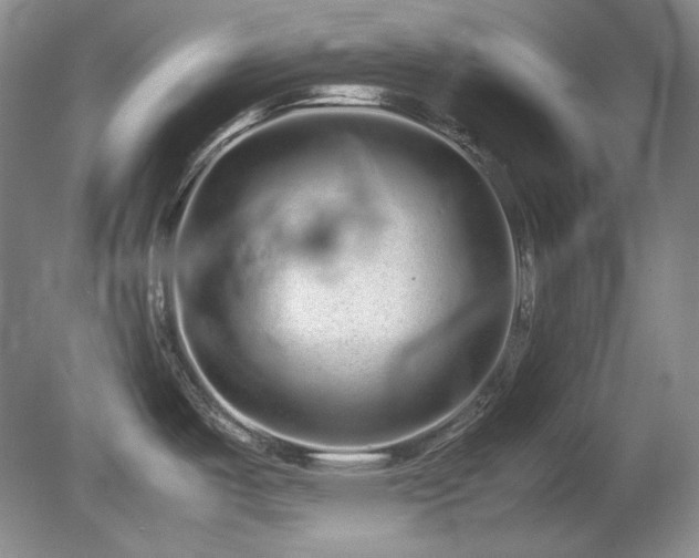 X0000081611487200701151352