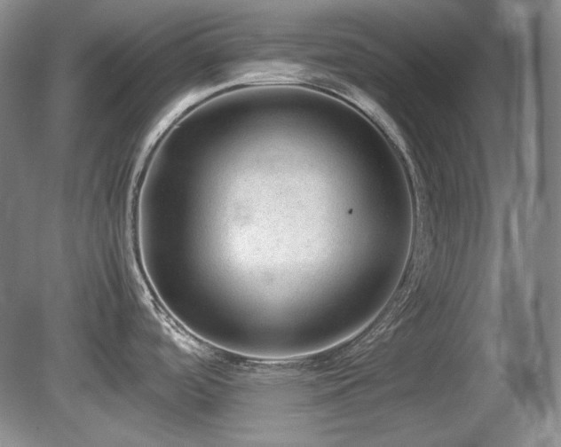 X0000081611488200701151352