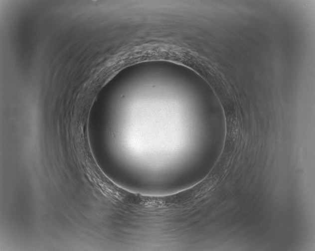 X0000081611489200701151351