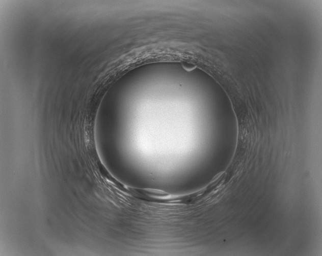 X0000081611490200701151351