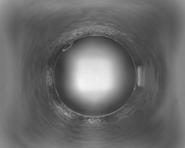 X0000081611491200701151351