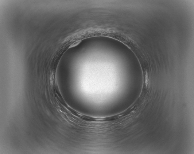 X0000081611492200701151351