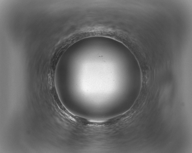 X0000081611493200701151351