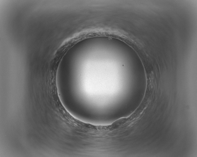 X0000081611494200701151351