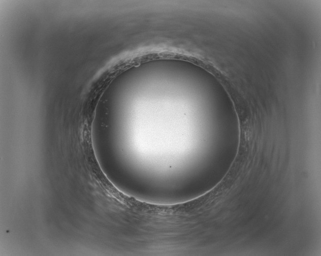 X0000081611495200701151351