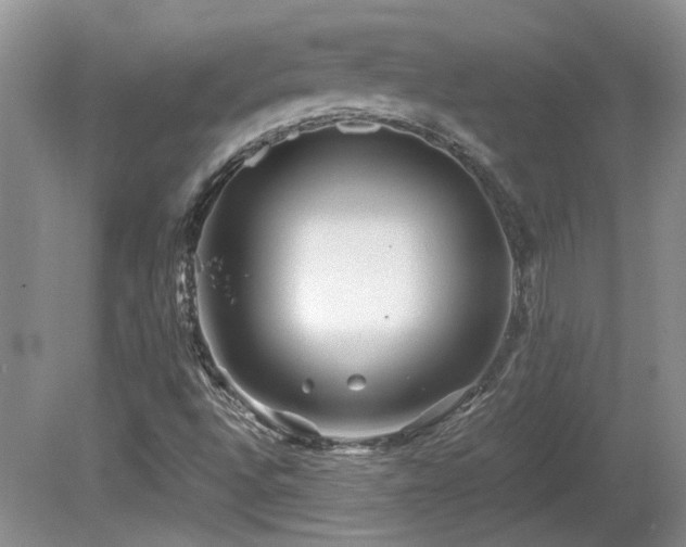 X0000081611496200701151351