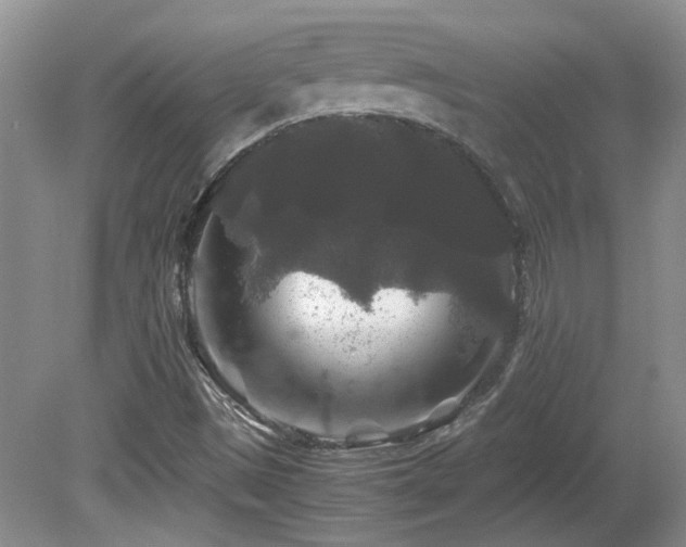 X0000081611497200701151351