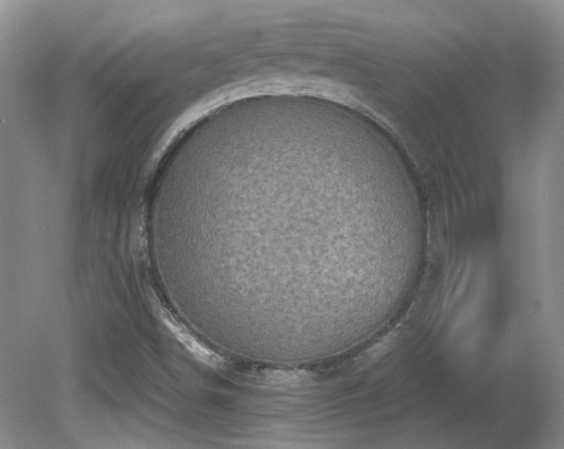 X0000081611498200701151351