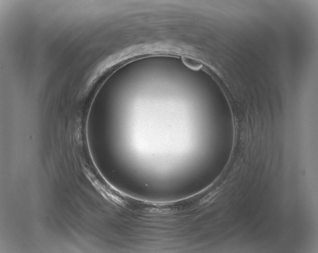 X0000081611499200701151351