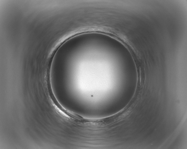 X0000081611500200701151351