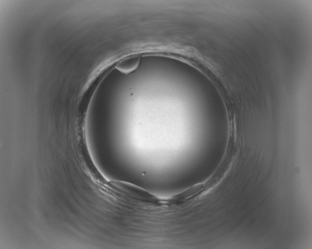 X0000081611501200701151351