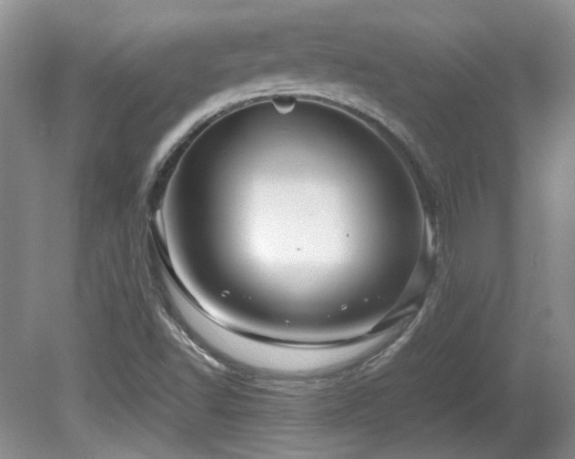 X0000081611502200701151351