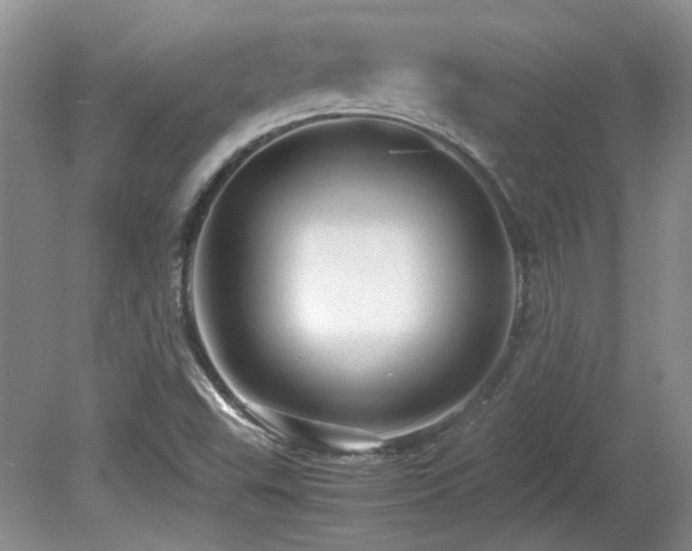 X0000081611503200701151351