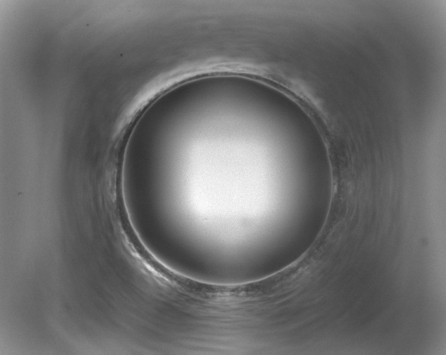 X0000081611504200701151351