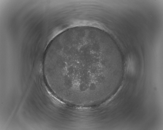 X0000081611505200701151351