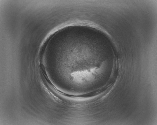 X0000081611506200701151351