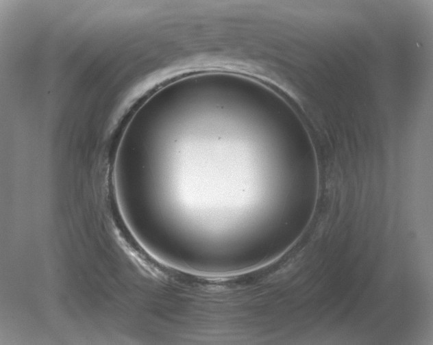 X0000081611507200701151351