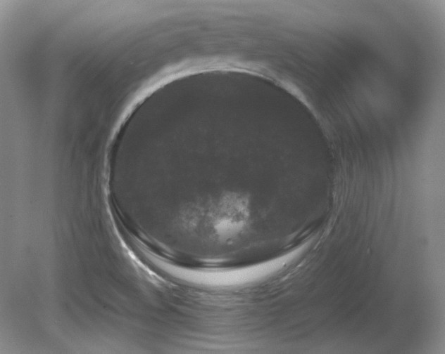 X0000081611508200701151351