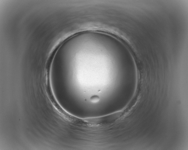 X0000081611509200701151352