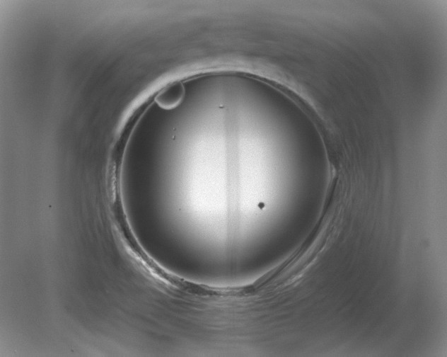 X0000081611510200701151352