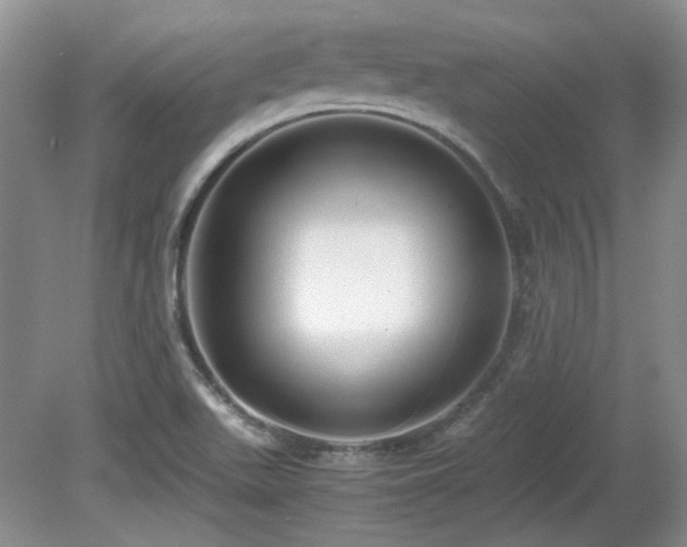 X0000081611511200701151352