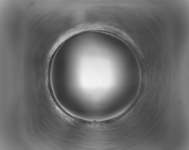 X0000081611512200701151352