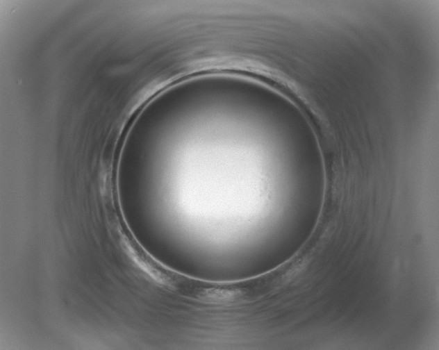 X0000081611513200701151352