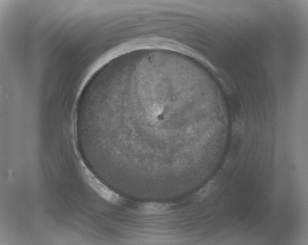 X0000081611514200701151352