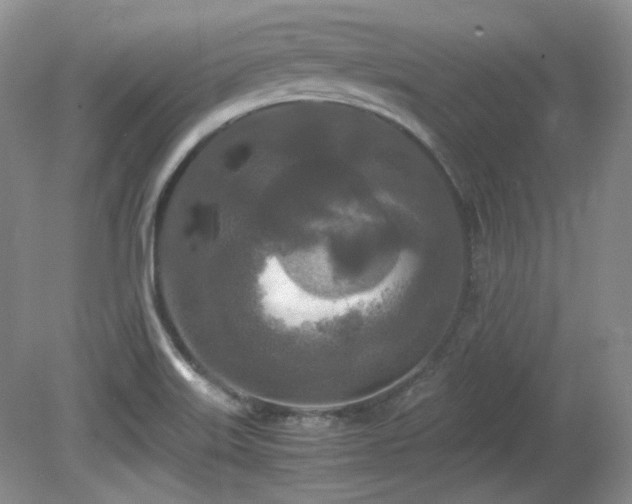 X0000081611515200701151352