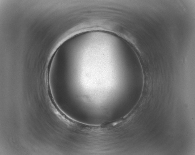 X0000081611516200701151352