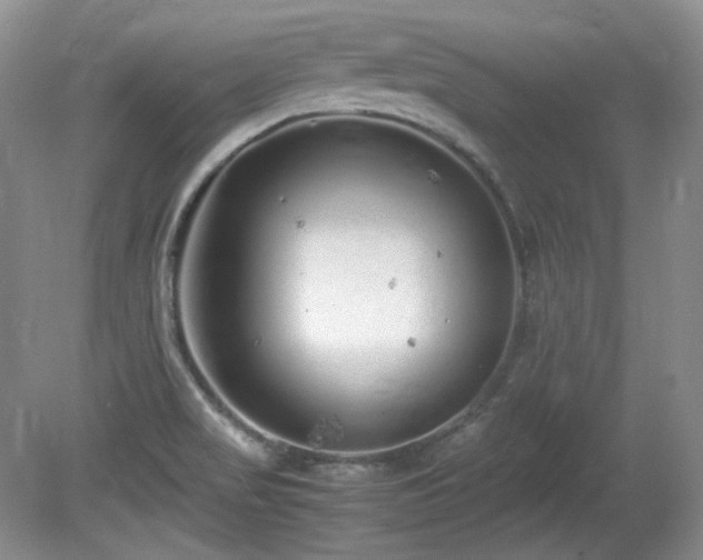 X0000081611517200701151352