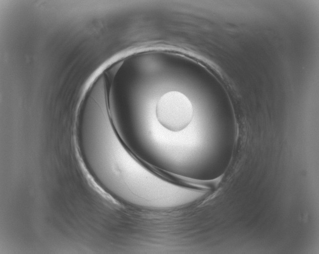 X0000081611518200701151352