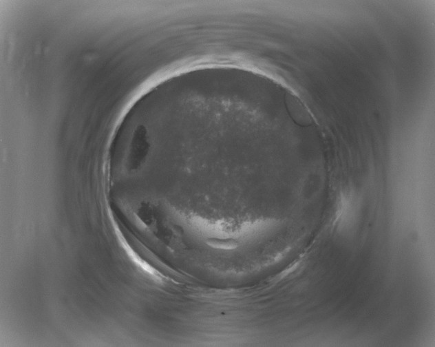 X0000081611519200701151352