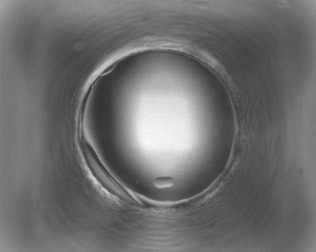 X0000081611520200701151352