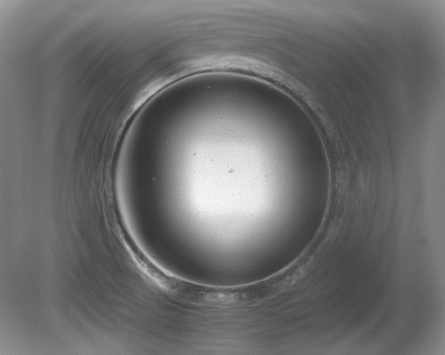 X0000081611521200701151352