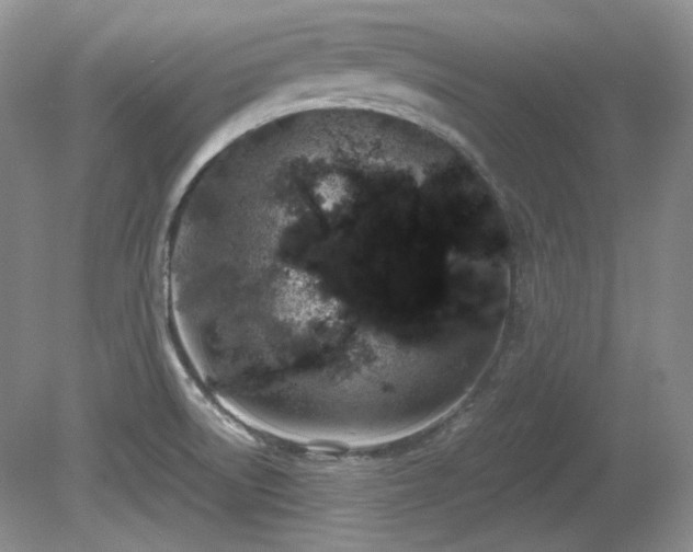 X0000081611522200701151352