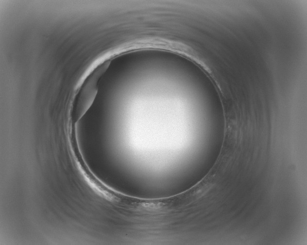 X0000081611523200701151352