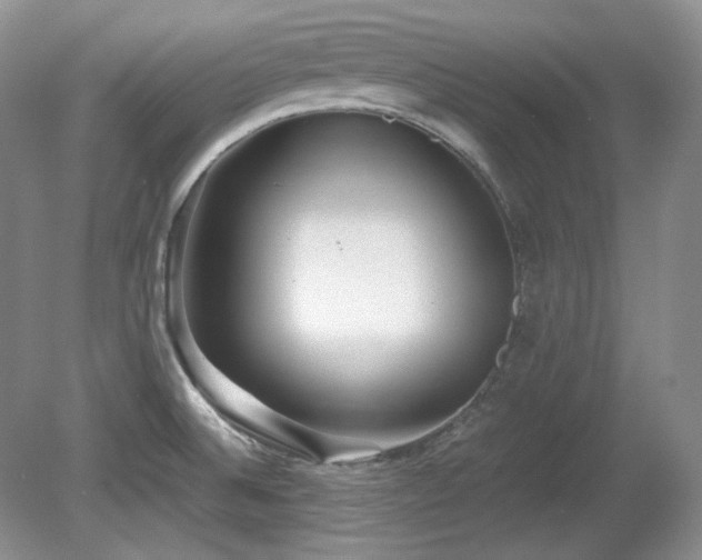 X0000081611524200701151352