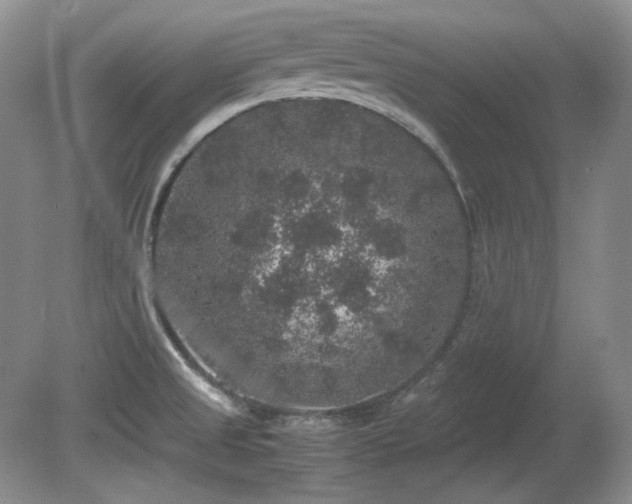 X0000081611525200701151352